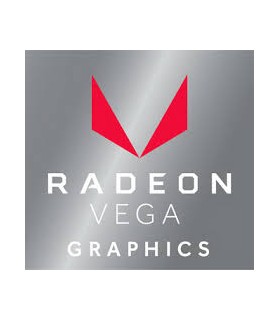 Carte vidéo intégrée AMD