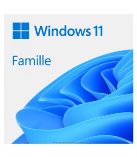 Microsoft Windows 11 famille 64 bits - 1 PC en version Clé d'activation