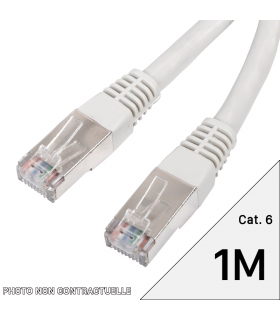 Câble RJ45 catégorie 6 S/FTP 1m